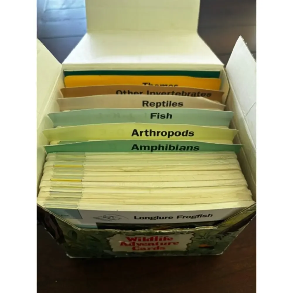 Vintage‎ Wildlife Adventure Cards Educational Animal Learning Card Set w/ Guide